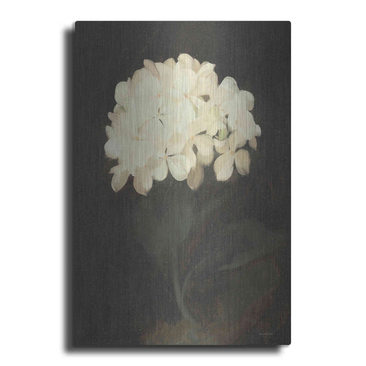 Luxe Metal Art 'Vintage White Hydrangea' by Lettered & Lined, Metal Wall Art