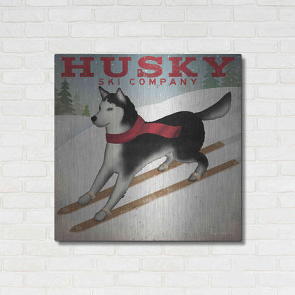 Luxe Metal Art 'Husky Ski Co' by Ryan Fowler, Metal Wall Art,36x36