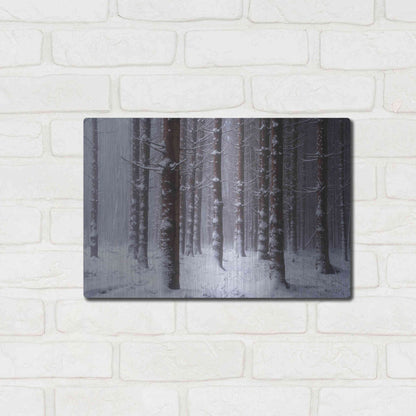 Luxe Metal Art 'Red Woods' by Martin Podt, Metal Wall Art,16x12