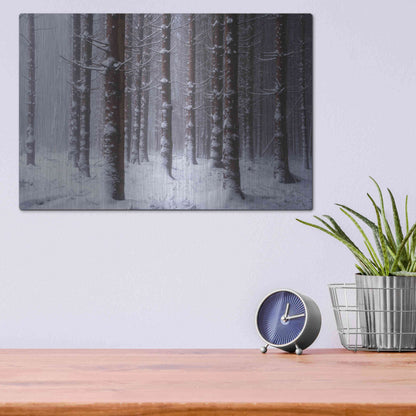 Luxe Metal Art 'Red Woods' by Martin Podt, Metal Wall Art,16x12