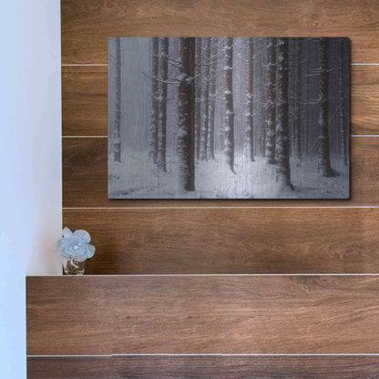 Luxe Metal Art 'Red Woods' by Martin Podt, Metal Wall Art,16x12