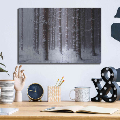 Luxe Metal Art 'Red Woods' by Martin Podt, Metal Wall Art,16x12