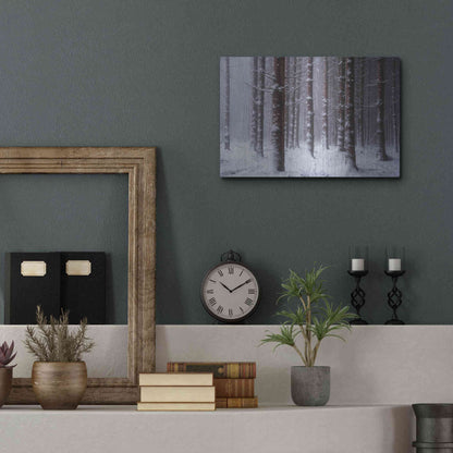 Luxe Metal Art 'Red Woods' by Martin Podt, Metal Wall Art,16x12