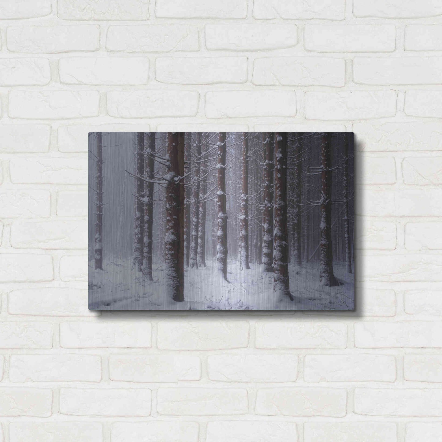 Luxe Metal Art 'Red Woods' by Martin Podt, Metal Wall Art,24x16