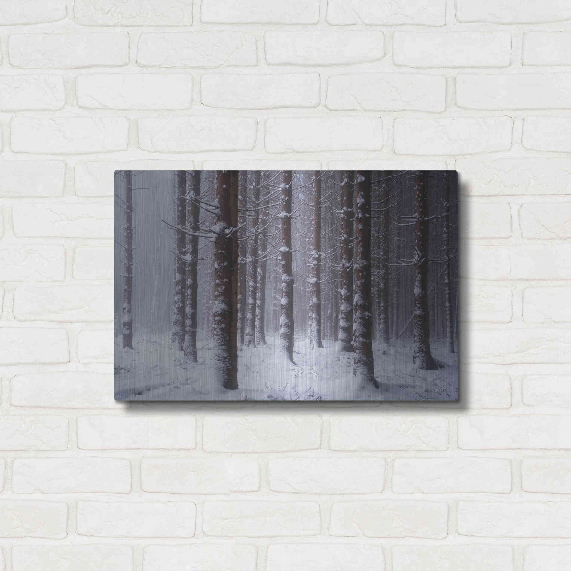 Luxe Metal Art 'Red Woods' by Martin Podt, Metal Wall Art,24x16