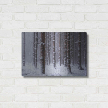 Luxe Metal Art 'Red Woods' by Martin Podt, Metal Wall Art,24x16