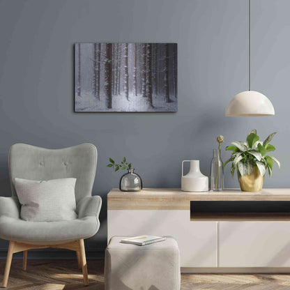 Luxe Metal Art 'Red Woods' by Martin Podt, Metal Wall Art,24x16