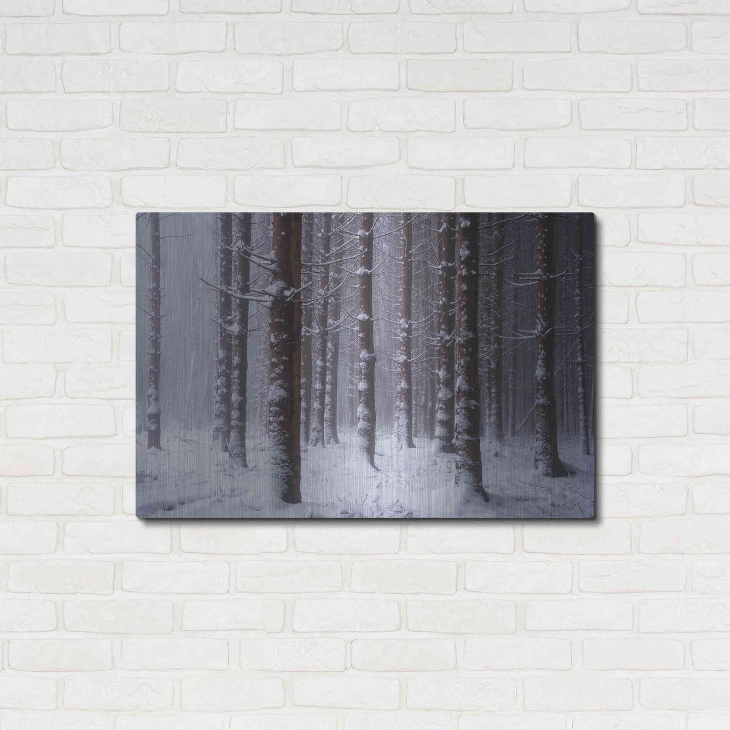 Luxe Metal Art 'Red Woods' by Martin Podt, Metal Wall Art,36x24