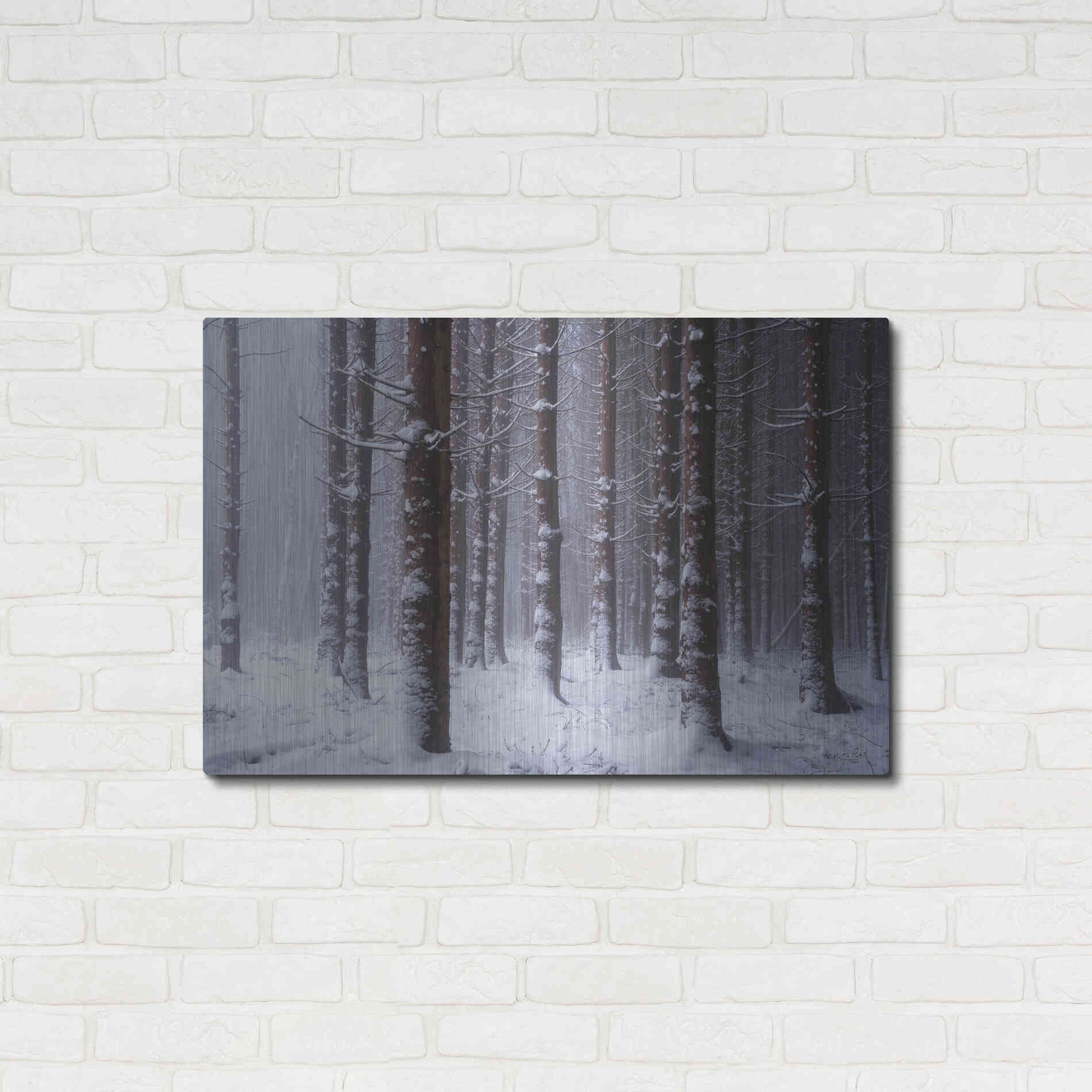 Luxe Metal Art 'Red Woods' by Martin Podt, Metal Wall Art,36x24