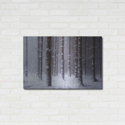 Luxe Metal Art 'Red Woods' by Martin Podt, Metal Wall Art,36x24