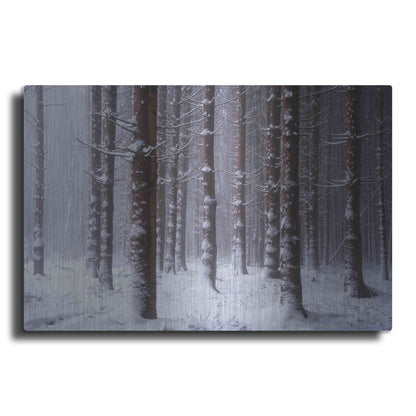 Luxe Metal Art 'Red Woods' by Martin Podt, Metal Wall Art