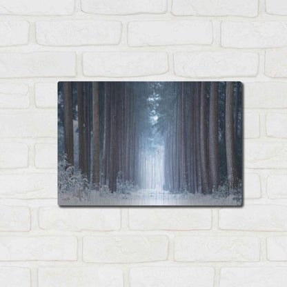 Luxe Metal Art 'Polar Winter' by Martin Podt, Metal Wall Art,16x12