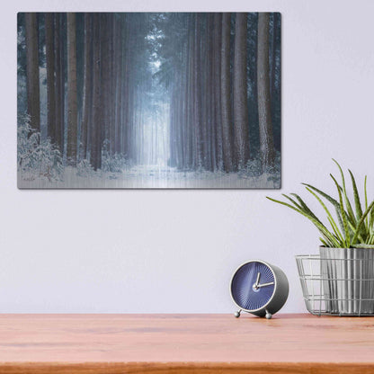 Luxe Metal Art 'Polar Winter' by Martin Podt, Metal Wall Art,16x12