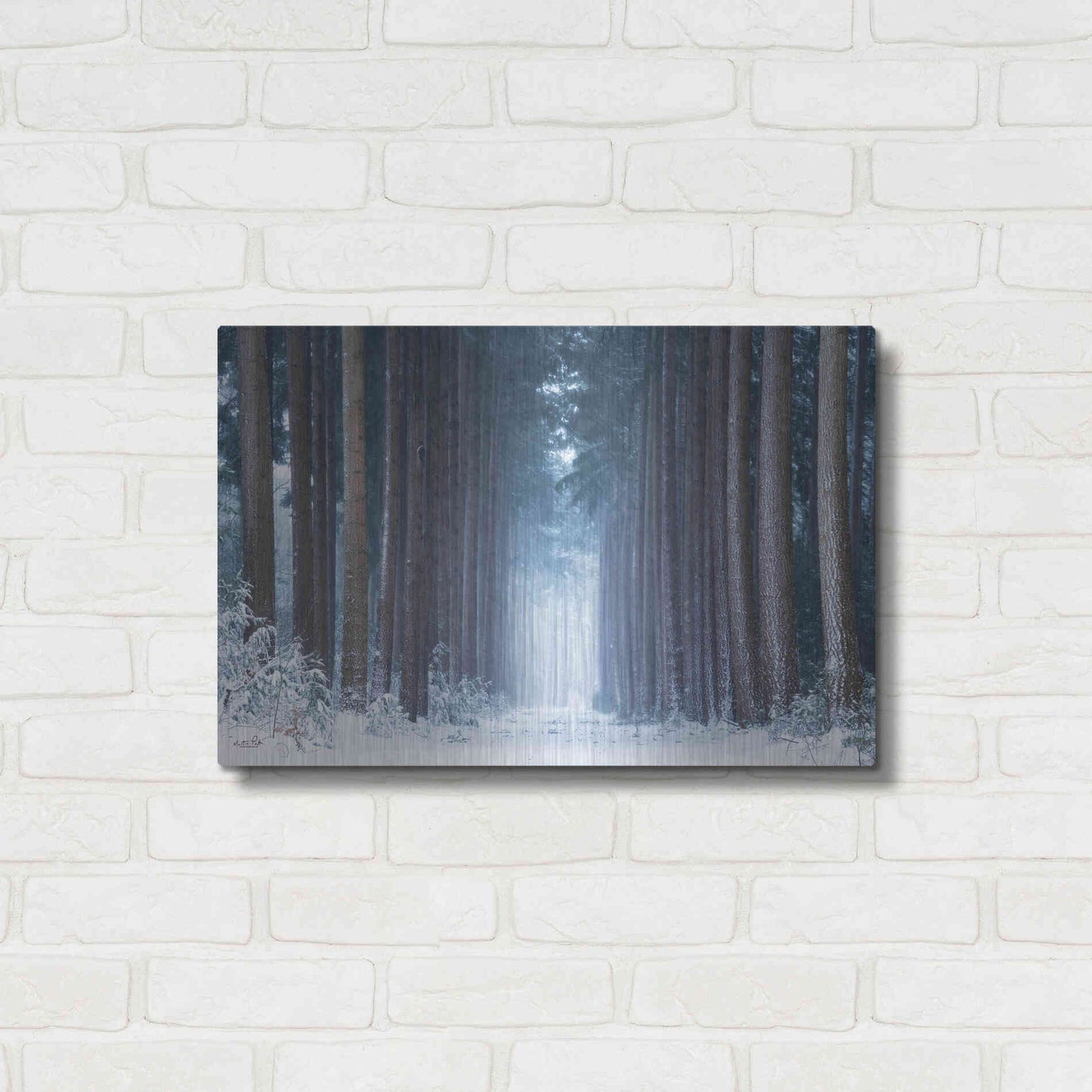 Luxe Metal Art 'Polar Winter' by Martin Podt, Metal Wall Art,24x16