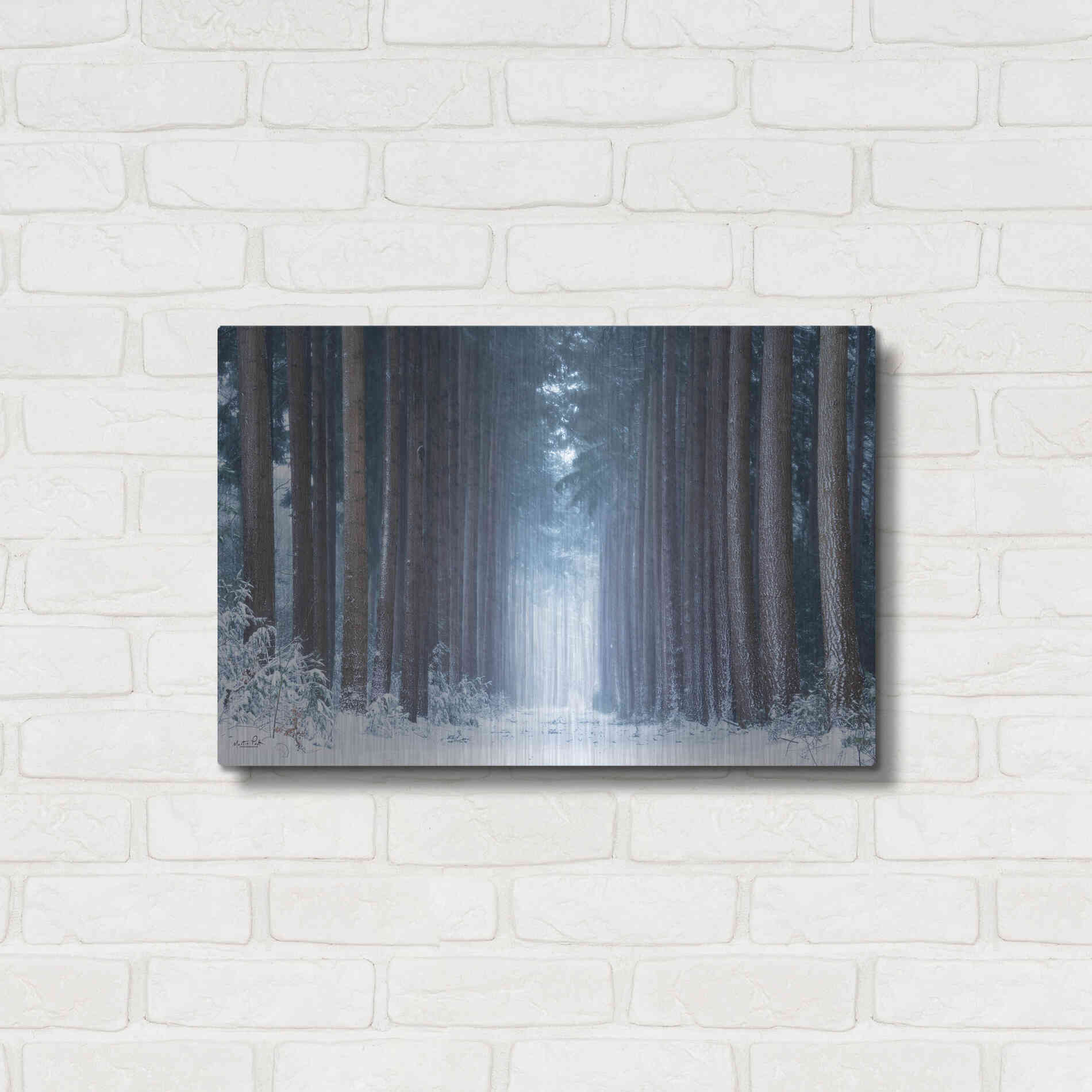 Luxe Metal Art 'Polar Winter' by Martin Podt, Metal Wall Art,24x16
