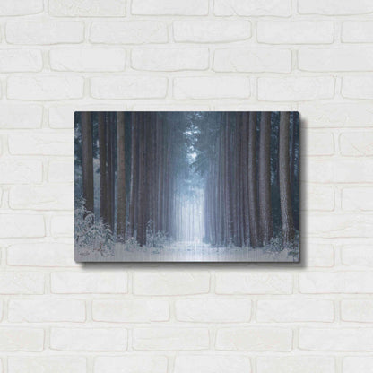 Luxe Metal Art 'Polar Winter' by Martin Podt, Metal Wall Art,24x16