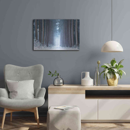 Luxe Metal Art 'Polar Winter' by Martin Podt, Metal Wall Art,24x16