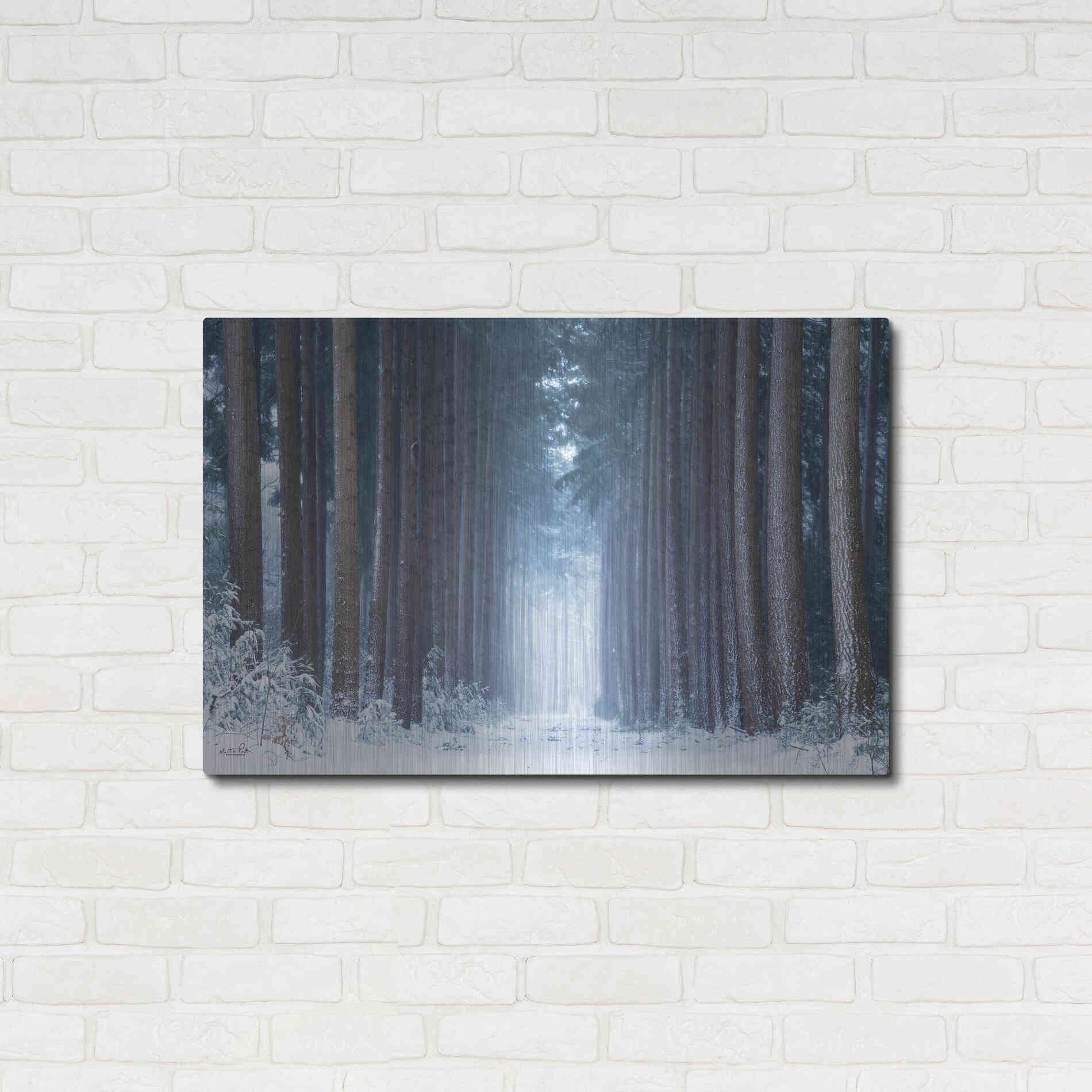Luxe Metal Art 'Polar Winter' by Martin Podt, Metal Wall Art,36x24