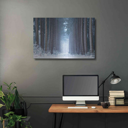 Luxe Metal Art 'Polar Winter' by Martin Podt, Metal Wall Art,36x24