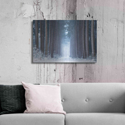 Luxe Metal Art 'Polar Winter' by Martin Podt, Metal Wall Art,36x24