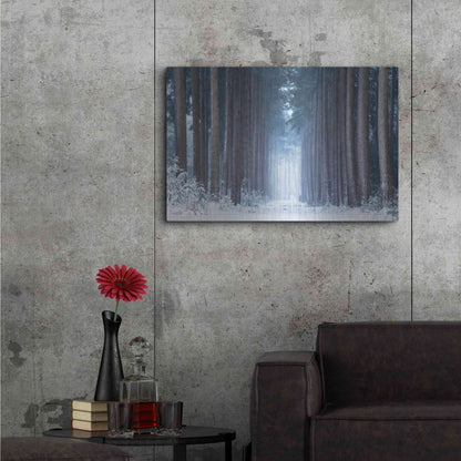 Luxe Metal Art 'Polar Winter' by Martin Podt, Metal Wall Art,36x24