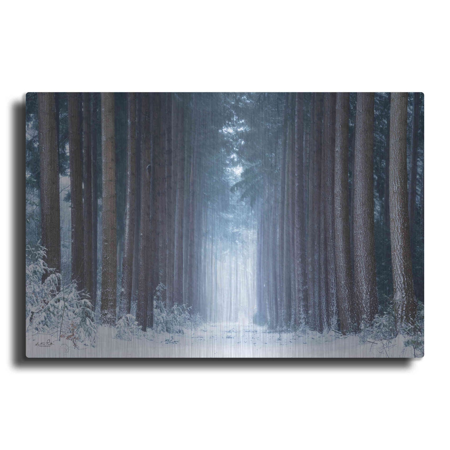 Luxe Metal Art 'Polar Winter' by Martin Podt, Metal Wall Art