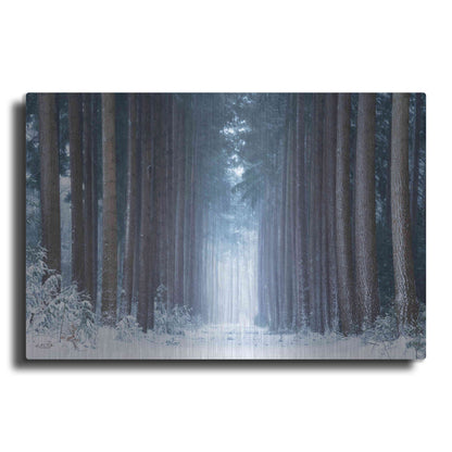 Luxe Metal Art 'Polar Winter' by Martin Podt, Metal Wall Art
