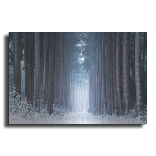 Luxe Metal Art 'Polar Winter' by Martin Podt, Metal Wall Art