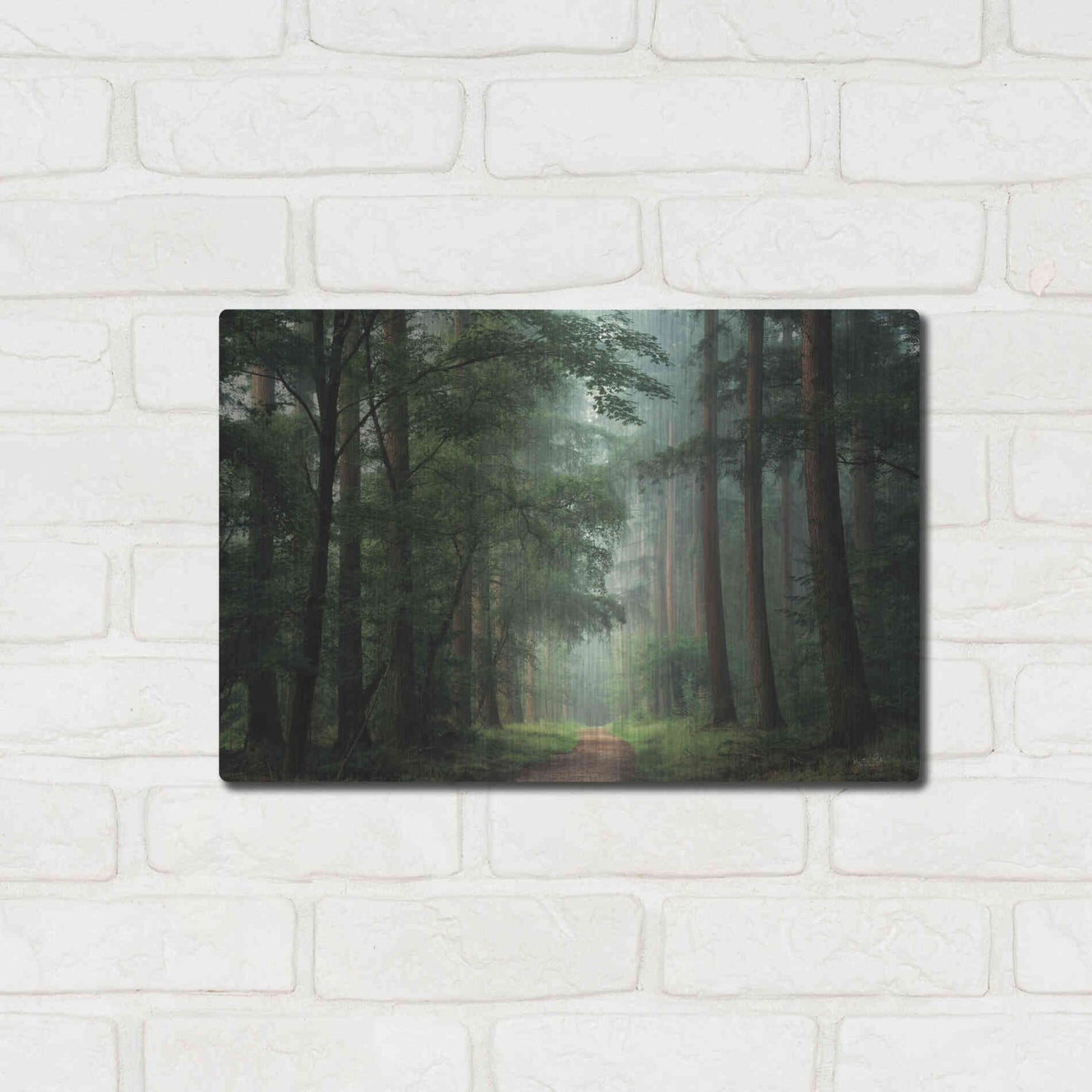 Luxe Metal Art 'Moody Green' by Martin Podt, Metal Wall Art,16x12