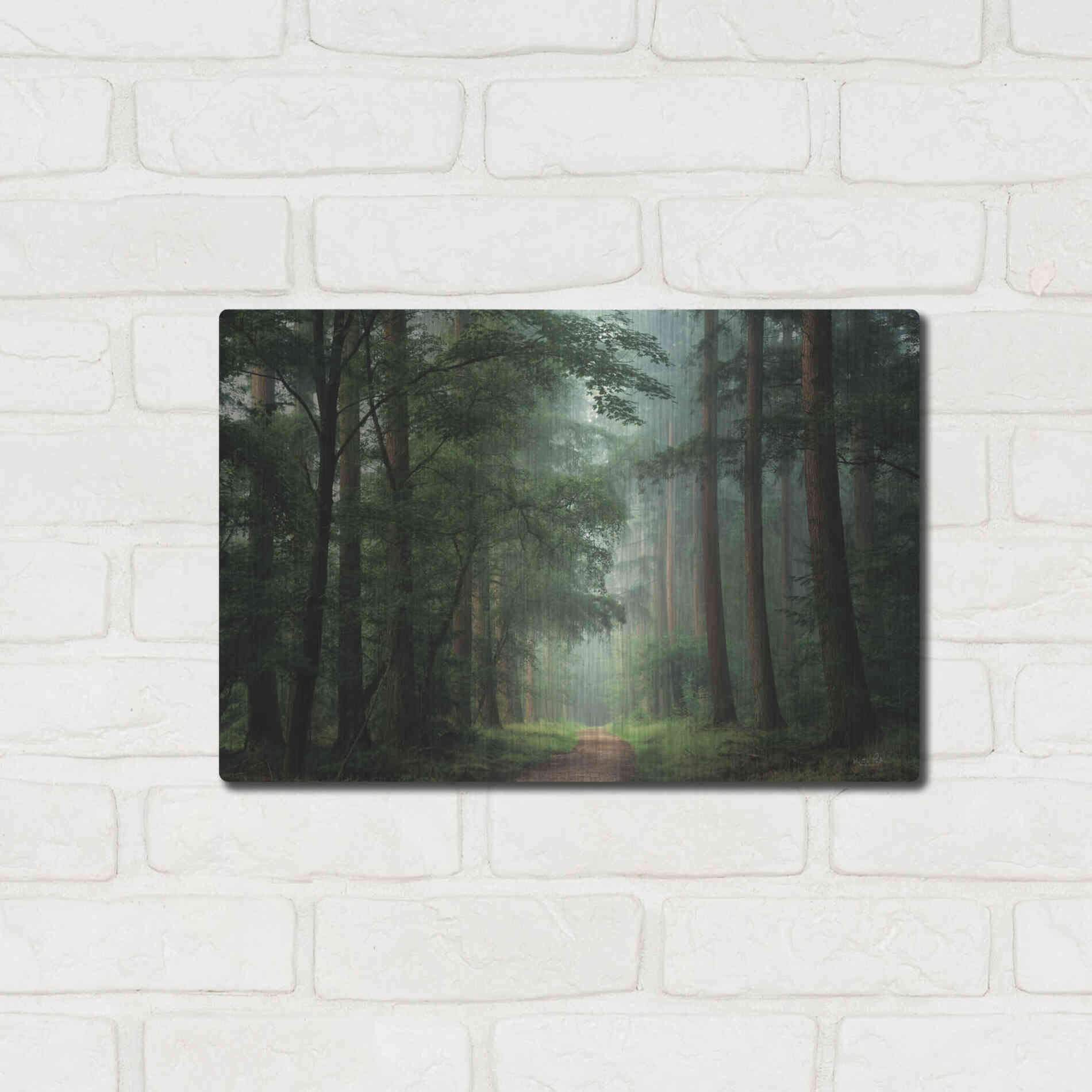 Luxe Metal Art 'Moody Green' by Martin Podt, Metal Wall Art,16x12