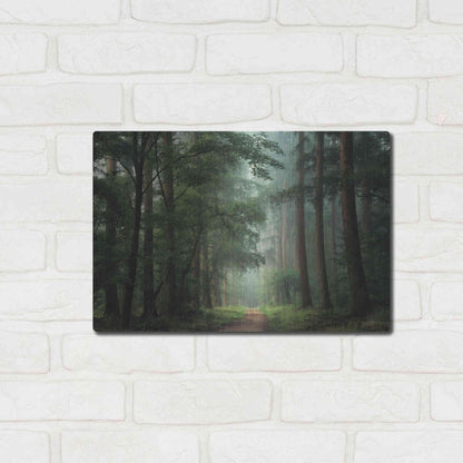 Luxe Metal Art 'Moody Green' by Martin Podt, Metal Wall Art,16x12