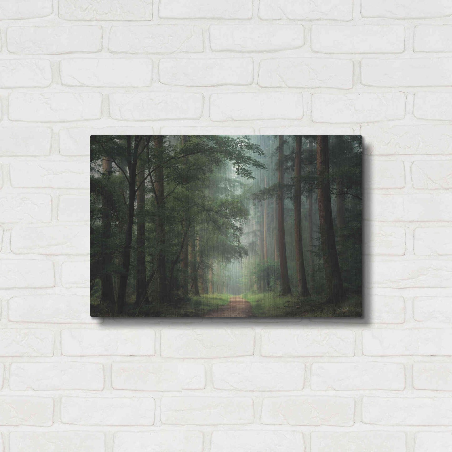 Luxe Metal Art 'Moody Green' by Martin Podt, Metal Wall Art,24x16