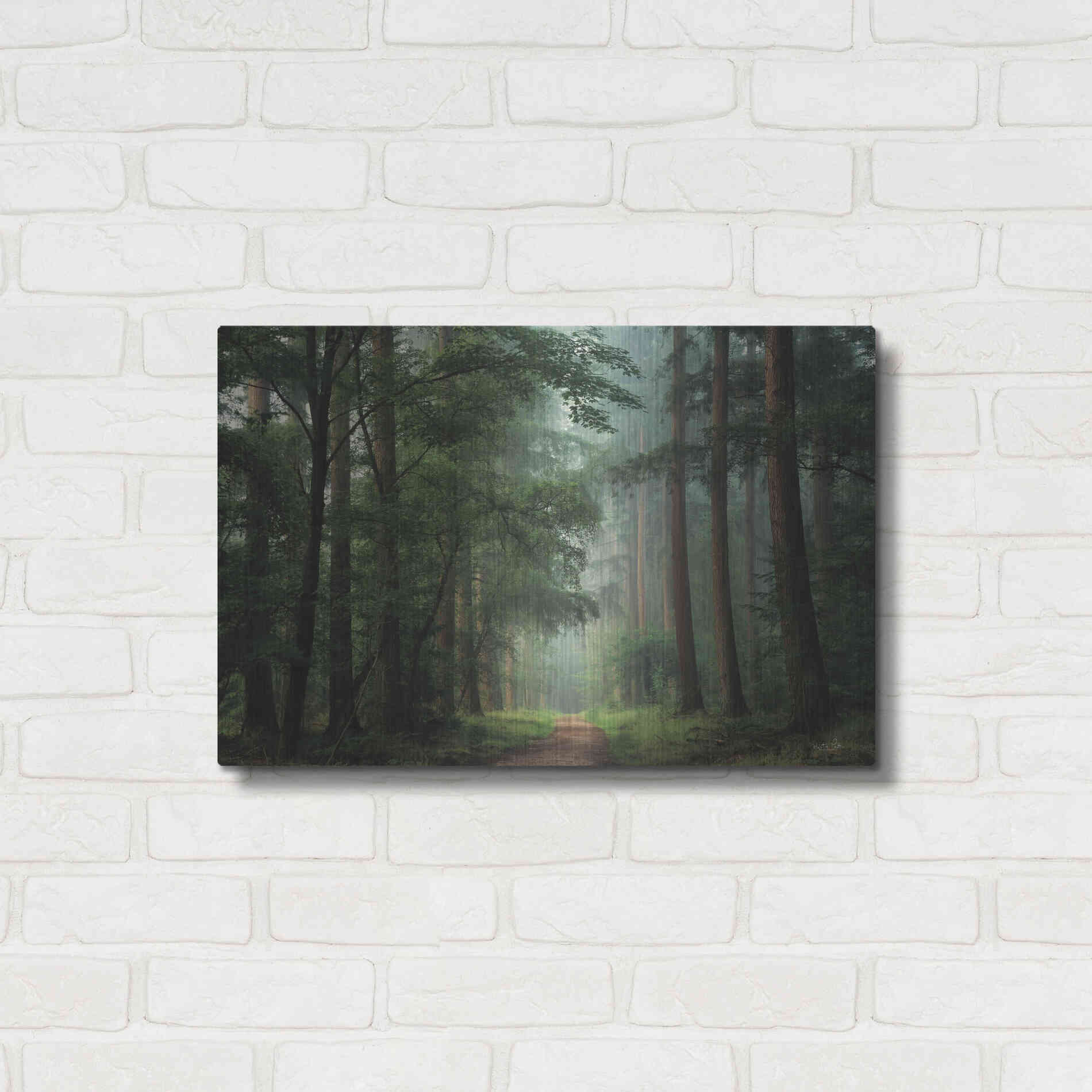 Luxe Metal Art 'Moody Green' by Martin Podt, Metal Wall Art,24x16