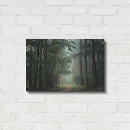 Luxe Metal Art 'Moody Green' by Martin Podt, Metal Wall Art,24x16