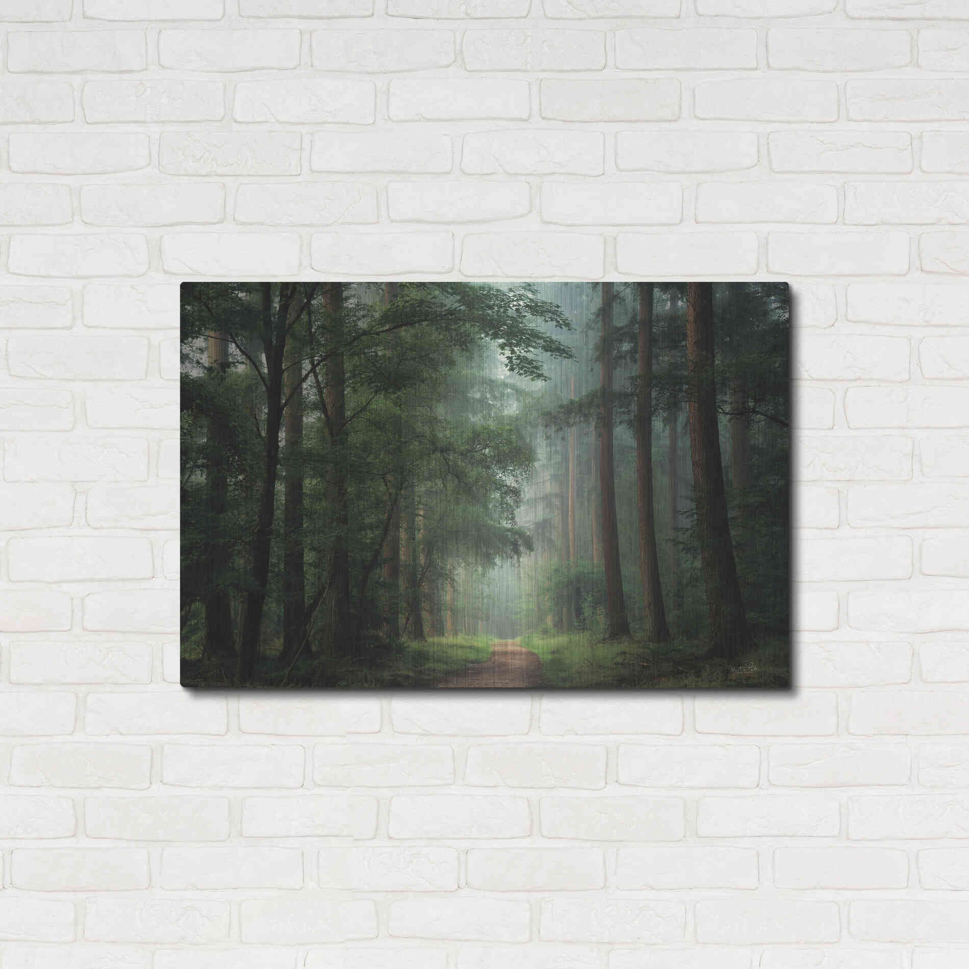 Luxe Metal Art 'Moody Green' by Martin Podt, Metal Wall Art,36x24