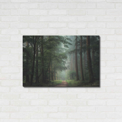 Luxe Metal Art 'Moody Green' by Martin Podt, Metal Wall Art,36x24