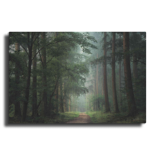 Luxe Metal Art 'Moody Green' by Martin Podt, Metal Wall Art