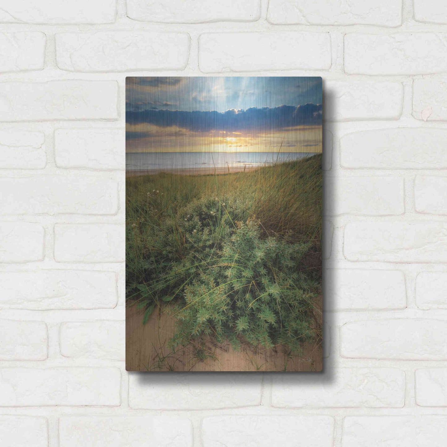 Luxe Metal Art 'Dutch Dunes' by Martin Podt, Metal Wall Art,12x16