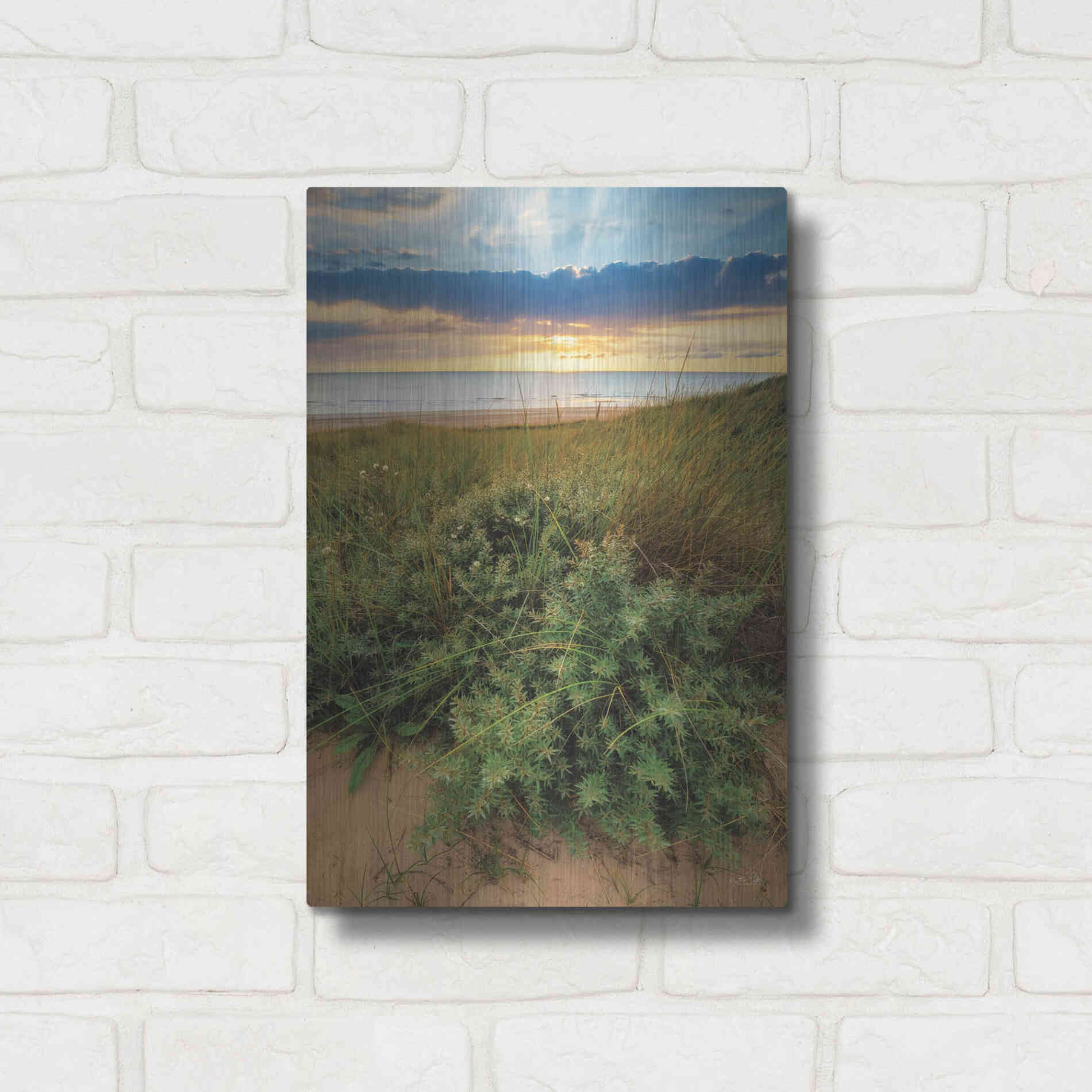 Luxe Metal Art 'Dutch Dunes' by Martin Podt, Metal Wall Art,12x16