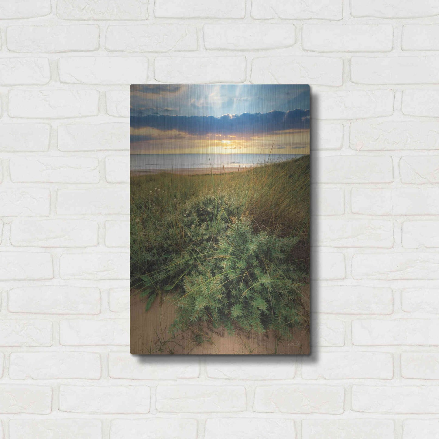 Luxe Metal Art 'Dutch Dunes' by Martin Podt, Metal Wall Art,16x24