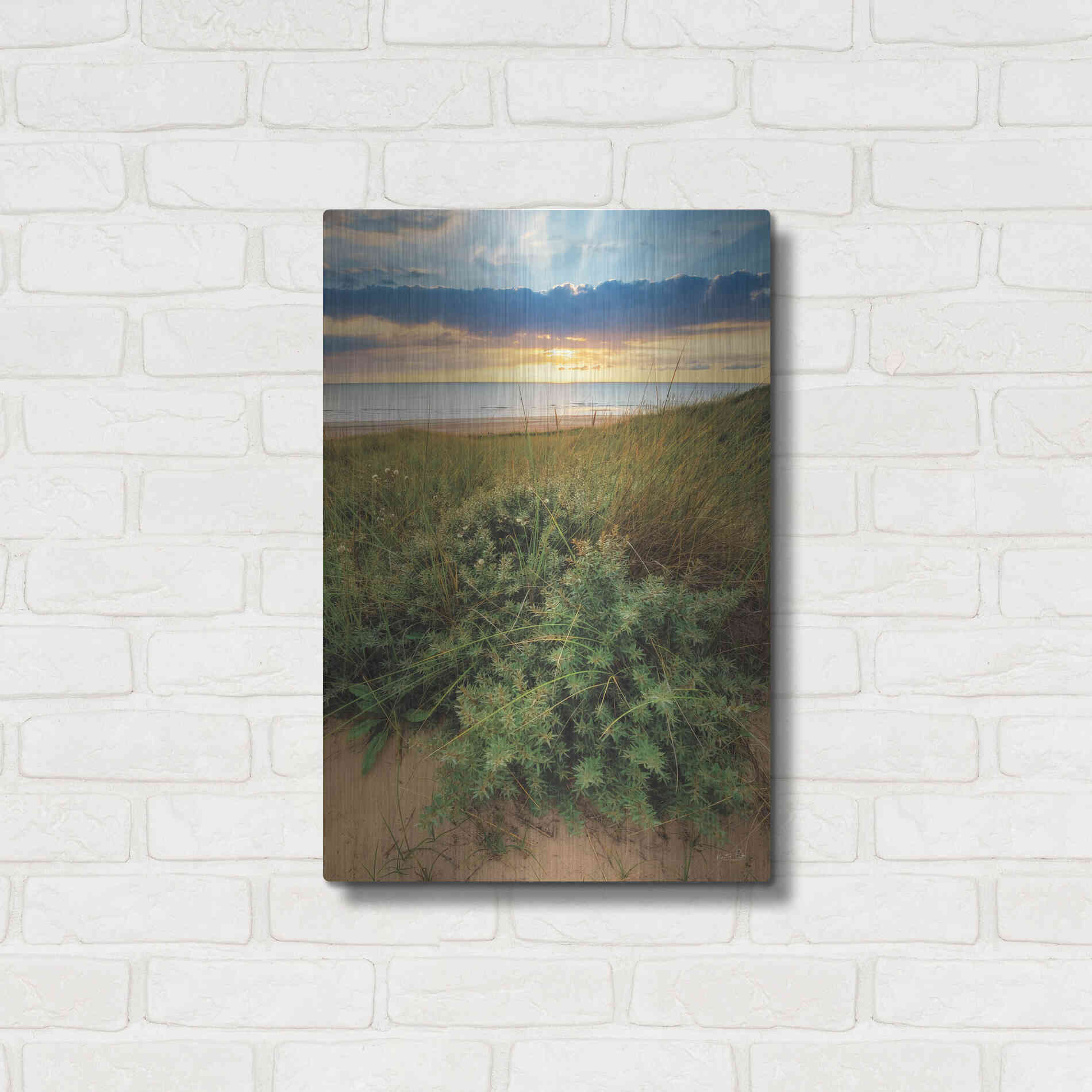 Luxe Metal Art 'Dutch Dunes' by Martin Podt, Metal Wall Art,16x24