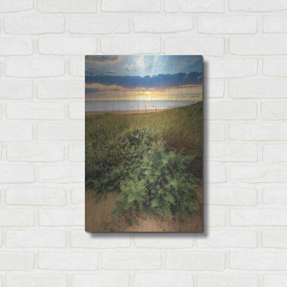 Luxe Metal Art 'Dutch Dunes' by Martin Podt, Metal Wall Art,16x24