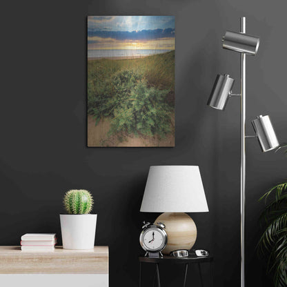 Luxe Metal Art 'Dutch Dunes' by Martin Podt, Metal Wall Art,16x24