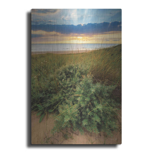 Luxe Metal Art 'Dutch Dunes' by Martin Podt, Metal Wall Art