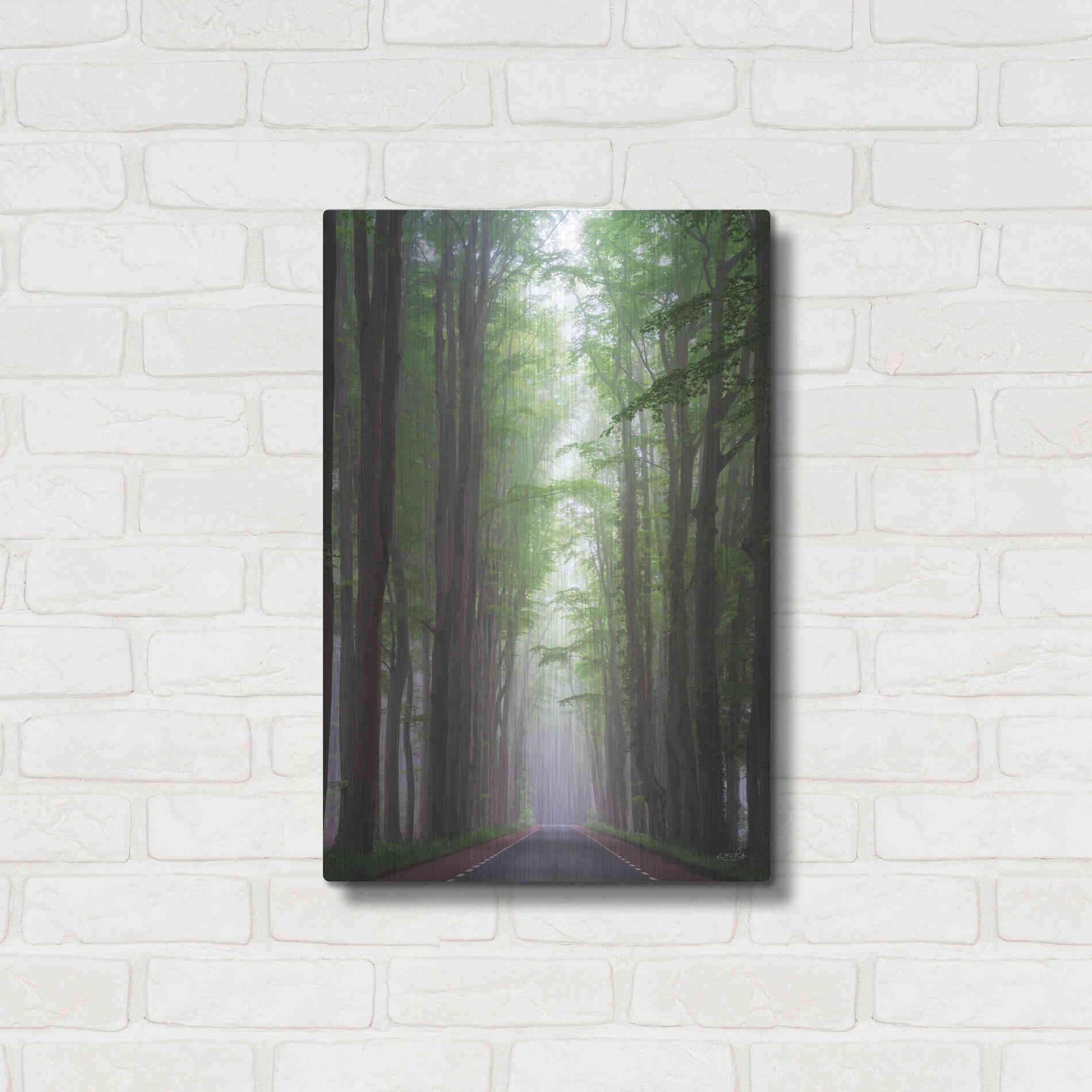 Luxe Metal Art 'Foggy Road' by Martin Podt, Metal Wall Art,16x24