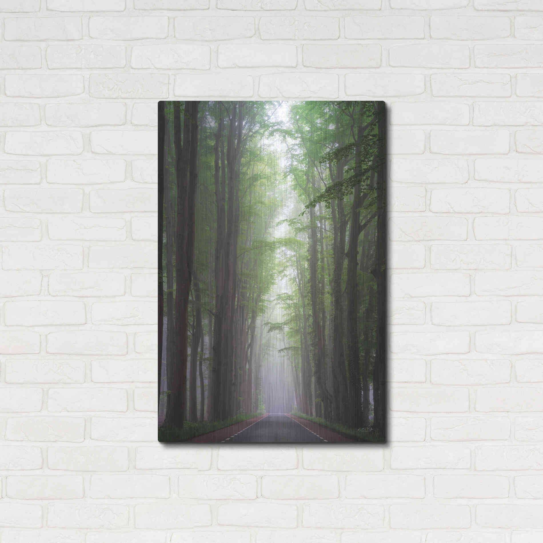 Luxe Metal Art 'Foggy Road' by Martin Podt, Metal Wall Art,24x36