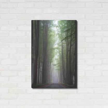 Luxe Metal Art 'Foggy Road' by Martin Podt, Metal Wall Art,24x36