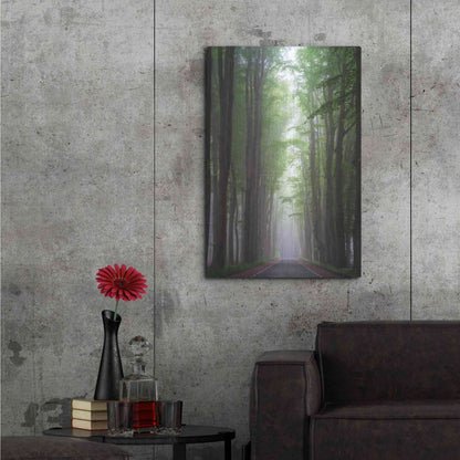 Luxe Metal Art 'Foggy Road' by Martin Podt, Metal Wall Art,24x36