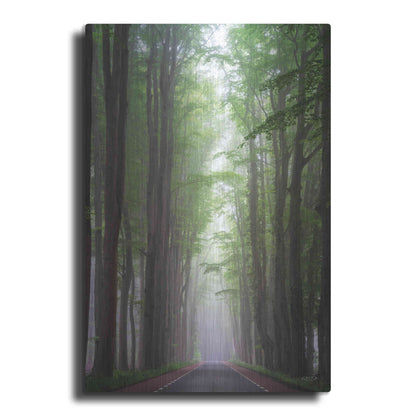 Luxe Metal Art 'Foggy Road' by Martin Podt, Metal Wall Art