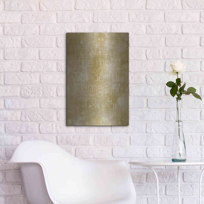 Luxe Metal Art 'Most Wonderful Time of the Year' by Susan Ball, Metal Wall Art,16x24